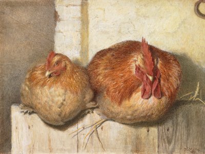 Veertig Winks, 1865 door J.G. Marks